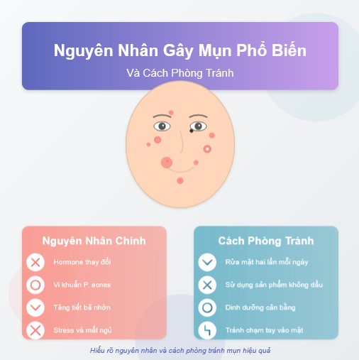 Nguyên nhân gây mụn phổ biến và cách phòng tránh